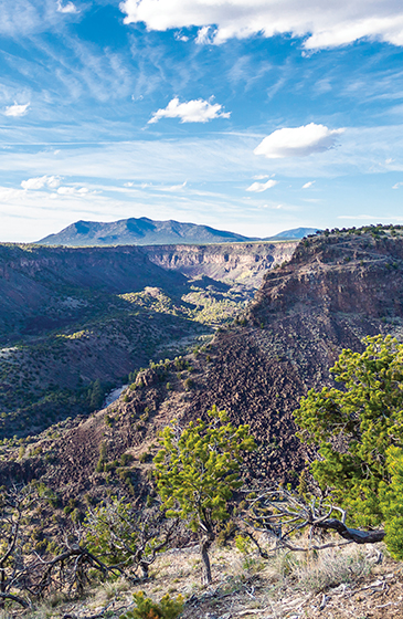 new mexico landscape